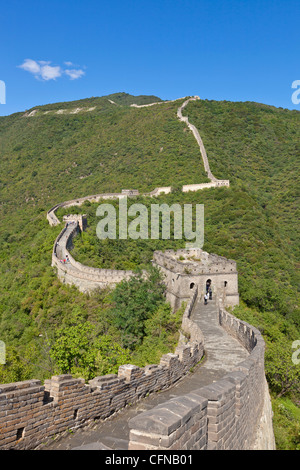 La Grande Muraglia della Cina, Sito Patrimonio Mondiale dell'UNESCO, Mutianyu, Distretto di Pechino, Cina, Asia Foto Stock