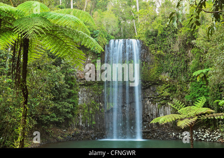 Millaa Millaa Falls, Atherton altipiano, Queensland, Australia Pacific Foto Stock