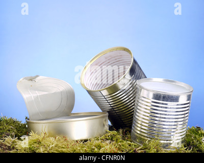 Svuotare le lattine per conserve in erba oltre il cielo blu Foto Stock