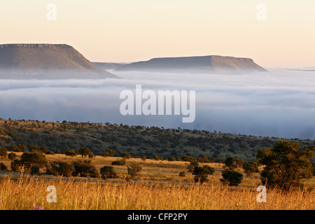 Lo strato di cloud all'alba, Mountain Zebra National Park, Sud Africa e Africa Foto Stock