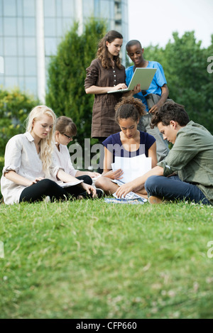 Gli studenti universitari che studiano insieme sull'erba Foto Stock