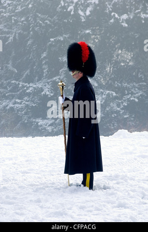 Membro della Heavy Cavallry e della Cambrai Band Royal Salute In inverno Museum Gardens York North Yorkshire Inghilterra UK United Regno Unito Gran Bretagna Foto Stock