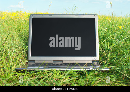 Computer portatile su erba Foto Stock