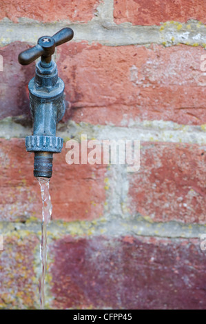 Esecuzione di acqua proveniente da un giardino esterno il rubinetto dell'acqua. Regno Unito Foto Stock