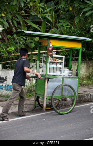 Venditore in strada, Ubud, Bali, Pacifico del Sud, Indonesia, Asia sud-orientale, Asia. Foto Stock