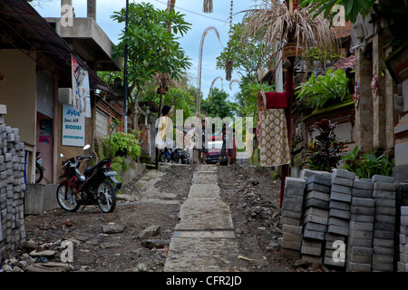 Street in Ubud, Bali, Pacifico del Sud, Indonesia, Asia sud-orientale, Asia. Foto Stock