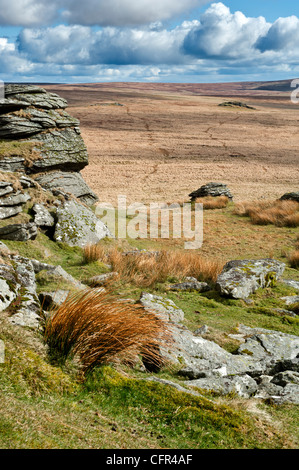 Dartmoor paesaggio mostrando grande Links Tor, maggiore Dunna acido di capra erba e viste Foto Stock