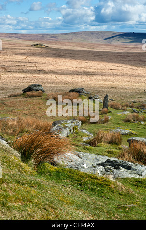 Dartmoor paesaggio mostrando grande Links Tor, maggiore Dunna acido di capra erba e viste Foto Stock