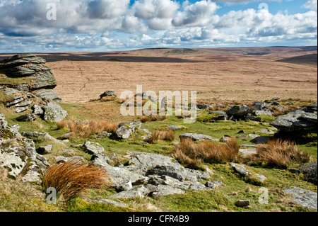 Dartmoor paesaggio mostrando grande Links Tor, maggiore Dunna acido di capra erba e viste Foto Stock