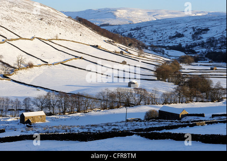 Granai di pietra in un paesaggio invernale, Swaledale, Yorkshire Dales National Park, North Yorkshire, Inghilterra, Regno Unito, Europa Foto Stock