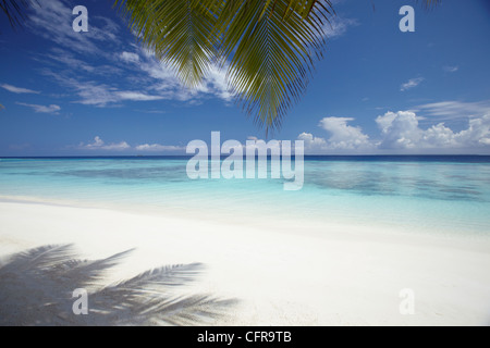 Maldive spiaggia tropicale, Maldive, Oceano Indiano, Asia Foto Stock