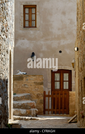 Monemvasia. Peloponneso. La Grecia. Vista del bianco e nero gatto seduto sulla recinzione in pietra di casa con marrone e di porta in porta Foto Stock