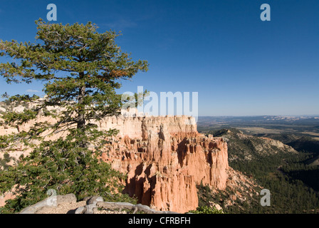 Vista Paria, Parco Nazionale di Bryce Canyon, Utah, Stati Uniti d'America, America del Nord Foto Stock