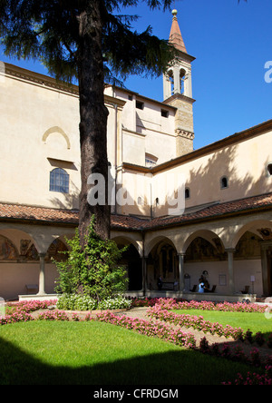 Antico albero di cedro, Toscana, Italia, Europa Foto Stock