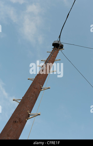 Un nuovo in legno palo del telegrafo con linee telefoniche. Foto Stock