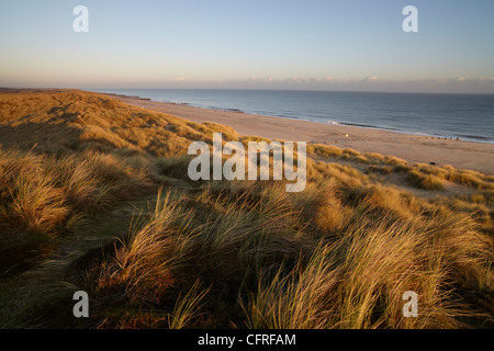 Le dune su un inverno mattina a Winterton sul mare, Norfolk, Inghilterra, Regno Unito, Europa Foto Stock