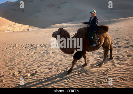 In sella a una twin humped Bactrian cammello nel deserto del Gobi della Mongolia Foto Stock