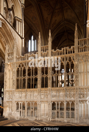 Regno Unito, Inghilterra, Worcestershire, cattedrale di Worcester interno, il principe Arthur's Chantry Foto Stock