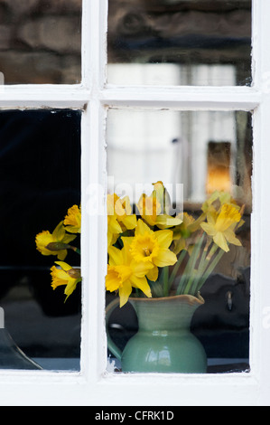 Narcissus. Cut Daffodils in a green jug in a house window. UK Foto Stock