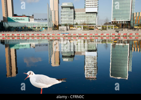 Media City la sede della BBC nel nord a Salford Quays, Manchester, UK, riflesso nel Manchester Ship Canal. Foto Stock