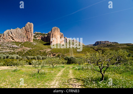 Mallos de Riglos area. Huesca. Aragona. Spagna Foto Stock