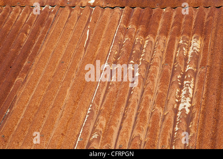 Rusty ferro corrugato sul tetto di un vecchio edificio in Scozia Foto Stock