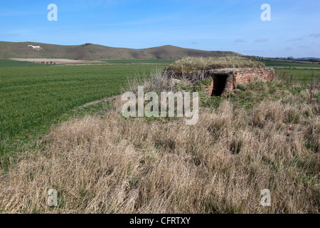 Scatola di pillole di guerra tra Stanton St Bernard e Alton Barnes Foto Stock