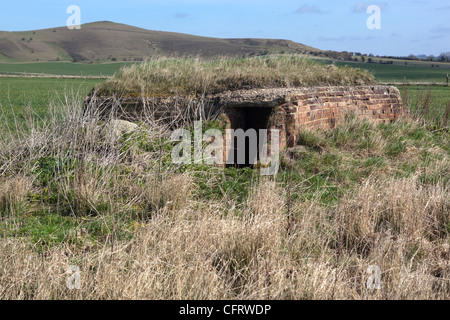 Scatola di pillole di guerra tra Stanton St Bernard e Alton Barnes Foto Stock