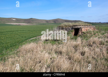 Scatola di pillole di guerra tra Stanton St Bernard e Alton Barnes Foto Stock