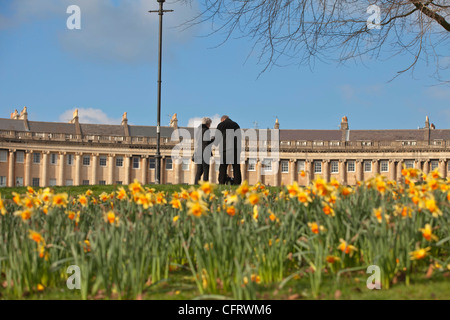 I turisti alla ricerca presso il Royal Crescent, Bath, Somerset, in primavera con i narcisi Foto Stock