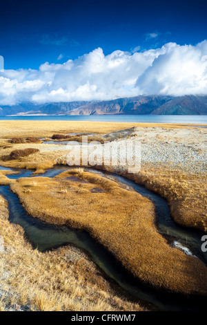 Sereno paesaggio pascolo sulle rive del lago Pangong accanto al villaggio di Merak. Foto Stock