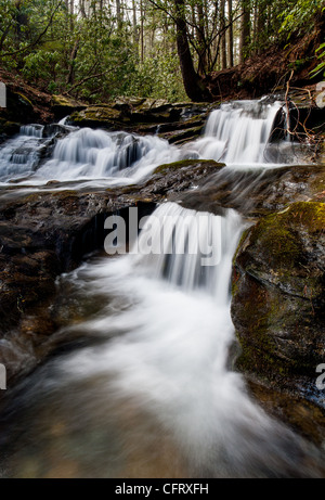 Martin creek è un flusso in Georgia a nord est di Clayton. è un affluente del torrente warwoman. Il bartram Creek Trail segue martin creek per una buona distanza, e l'accesso per martin Creek Falls che sono a monte di questa zona. Foto Stock