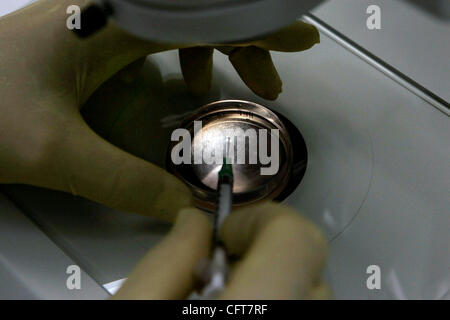 Dicembre 13, 2006 , San Diego,- Martedì, ED BAETGE, chief science officer di Novocell, "fatta passare" un piatto di cellule staminali embrionali sotto un microscopio. Credito: foto da John Gibbins/San Diego Union-Tribune/Zuma Press Copyright 2006 San Diego Union-Tribune Foto Stock