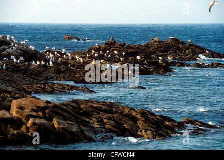 PARQUE NACIONAL DE LAS ISLAS ATLANTICAS. Isole Cies VISTA GENERALE DE LAS ISLAS CIES desde el PICO DEL PRINCIPE EN LA MAYOR DE LAS ISLAS, LA ISLA NORTE O DE MONTEAGUDO. Parco Nazionale delle Isole Atlanticas. Isole Cies Foto Stock