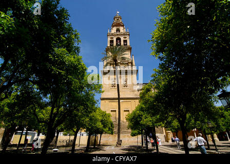 Cordoba. La Mezquita de Cordoba, effettiva Catedral. Patio de los Naranjos Foto Stock