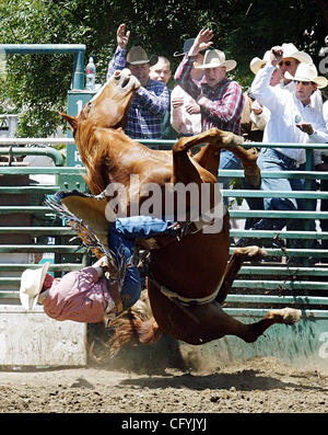 Forest Bramwell detiene sul suo cavallo mentre competere nel bareback riding durante l'evento Rowell Ranch Rodeo in Castro Valley domenica 20 maggio, 2007.(Sean Connelley/Oakland Tribune) Foto Stock