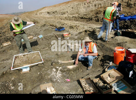 Giovedì, Giugno 14, 2007, Carlsbad, California, Stati Uniti d'America Tom Demere, centro, che è il curatore di paleontologia presso il San Diego il Museo di Storia Naturale, i colloqui per i media su un americano Mastodon del suo team unearthed in corrispondenza di un sito in costruzione al di fuori della strada di cannone e College Boulevard a Carlsbad martedì, Foto Stock