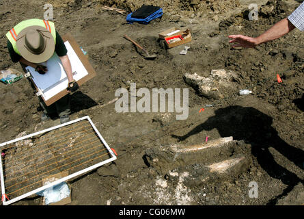 Giovedì, Giugno 14, 2007, Carlsbad, California, Stati Uniti d'America paleontologo Ian Browne, a sinistra che è depositata coordinatore per il San Diego il Museo di Storia Naturale, schizzi il sito per mappare la distribuzione delle ossa come Tom Demere, destra, che è il curatore di paleontologia presso il San Diego Storia Naturale Foto Stock