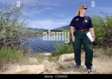 Giugno 29th, 2007 - South Lake Tahoe, CA, Stati Uniti d'America - U.S Parchi Nazionali portavoce Sandee Digman sorge nei pressi di una palude nelle chiavi di Tahoe area che sfocia nel Lago Tahoe vicino al fuoco Angora Venerdì, Giugno 29, 2007, South Lake Tahoe, California (Credito Immagine: © Ron Lewis/San Mateo County Times/ZUMA Press) Foto Stock