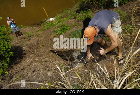 Agosto 09, 2007 - Bossier City, Los Angeles, Stati Uniti d'America - Scott Wilson guida una 9' 8' alligator essendo winched fino alla banca dalla riva dopo la cattura in fiume piatta in Bossier City. (Credito Immagine: © Jim Hudelson/l'Shreveport volte/ZUMA Premere) Restrizioni: No Mags nessuna vendita Foto Stock