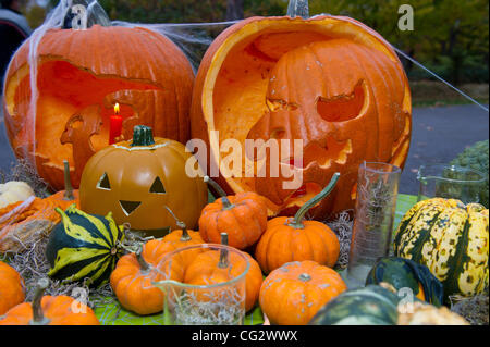 Ottobre 31, 2011 - Ottawa, Ontario, Canada - Governatore Generale David Johnston interpreta la parte di lo scienziato pazzo come trucco-o-treaters sono invitati ad esplorare la scienza spaventoso esperimento percorso e visitare i laboratori di biologia di Halloween 101, scoraggiante matematica, chimica viscido e frankenstein Phi Foto Stock