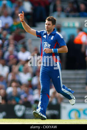 31/08/2012 di Londra, Inghilterra. L'Inghilterra del James Anderson celebra il paletto del Sud Africa Dale Steyn (non mostrato) durante la terza Nat West una giornata internazionale della partita di cricket tra Inghilterra e Sud Africa e ha suonato presso la Kia Oval Cricket Ground: Credito: Mitchell Gunn Foto Stock