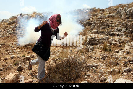 Sett. 1, 2012 - Ramallah, West Bank, Territorio palestinese - manifestante palestinese sventola una bandiera come fumo da le scatole metalliche del gas lacrimogeno sparato dalle forze di sicurezza israeliane sorge durante scontri a una protesta contro un vicino insediamento ebraico, in Cisgiordania villaggio di Nabi Saleh, vicino a Ramallah Agosto 31, 2012 (credito Immagine: © Issam Rimawi APA/images/ZUMAPRESS.com) Foto Stock