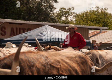 1 settembre 2012 Bandera, Texas, Stati Uniti d'America - un cowboy partecipa nel celebrare Bandera Longhorn cattle drive giù strada principale di Bandera, Texas. Foto Stock