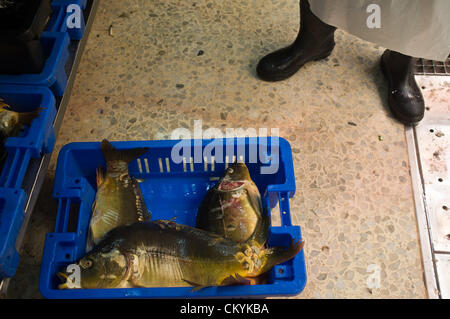 Carpa fresca memorizzati nei vassoi sono pronti per la vendita in un Mahane Yehuda Market Negozio di pesce. Gerusalemme, Israele. 4-Settembre-2012. Agricoltura Ministero stime più di mille tonnellate di carpe sarà trasformato in pesce Gefilte, di tradizione ebraica piatto europeo, polpette di disossata, massa, carpa, coregoni o lucci e consumato durante il prossimo ebraica vacanze alta. Foto Stock