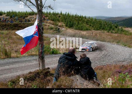 14 Settembre 2012 - Devils Bridge - il Galles Centrale : WRC Rally Galles GB SS6 Myherin fase : Mikko Hirvonen e Jarmo Lehtinen della Finlandia nella loro Citroen DS3 WRC. Foto Stock