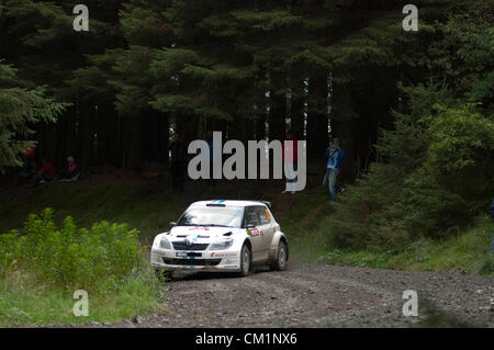 14 Settembre 2012 - Devils Bridge - il Galles Centrale : WRC Rally Galles GB SS6 Myherin fase : Sebastien Olgier e Julien Ingrassia di Francia nel loro Skoda Fabia S2000. Foto Stock