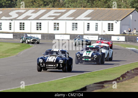 Goodwood station wagon, Chichester, Regno Unito. Il 15 settembre 2012. Un 1963 AC Cobra seguita da un altro AC Cobra durante la Shelby Cup, 45 minuti di due driver per tazza AC, Shelby e Willment Cobras al Goodwood. Il risveglio è un 'magical passo indietro nel tempo", presentazione di una miscela di autovetture e di aviazione dal 40's, anni Cinquanta e Sessanta ed è uno dei più popolari motore storico racing eventi in tutto il mondo. Per ulteriori informazioni visita il sito www.goodwood.co.uk/revival. Foto Stock