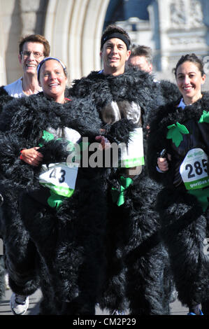 Il Tower Bridge di Londra, Regno Unito. Il 22 settembre 2012. I corridori attraversare il Tower Bridge. Il grande gorilla di eseguire avviene vicino alla Torre di Londra. Le persone gestiscono il 7k route vestito in abiti di Gorilla in aiuto di diverse associazioni di beneficenza. Foto Stock