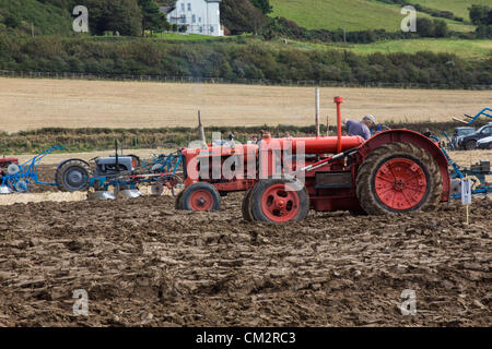 Il Galles, UK. 22 settembre 2012. I concorrenti della 53Tutti Galles campionati di aratura e cinque nazioni sfida a Morfa Mawr, Llanon, Ceredigion detenute nel glorioso sole durante il weekend. Foto Stock